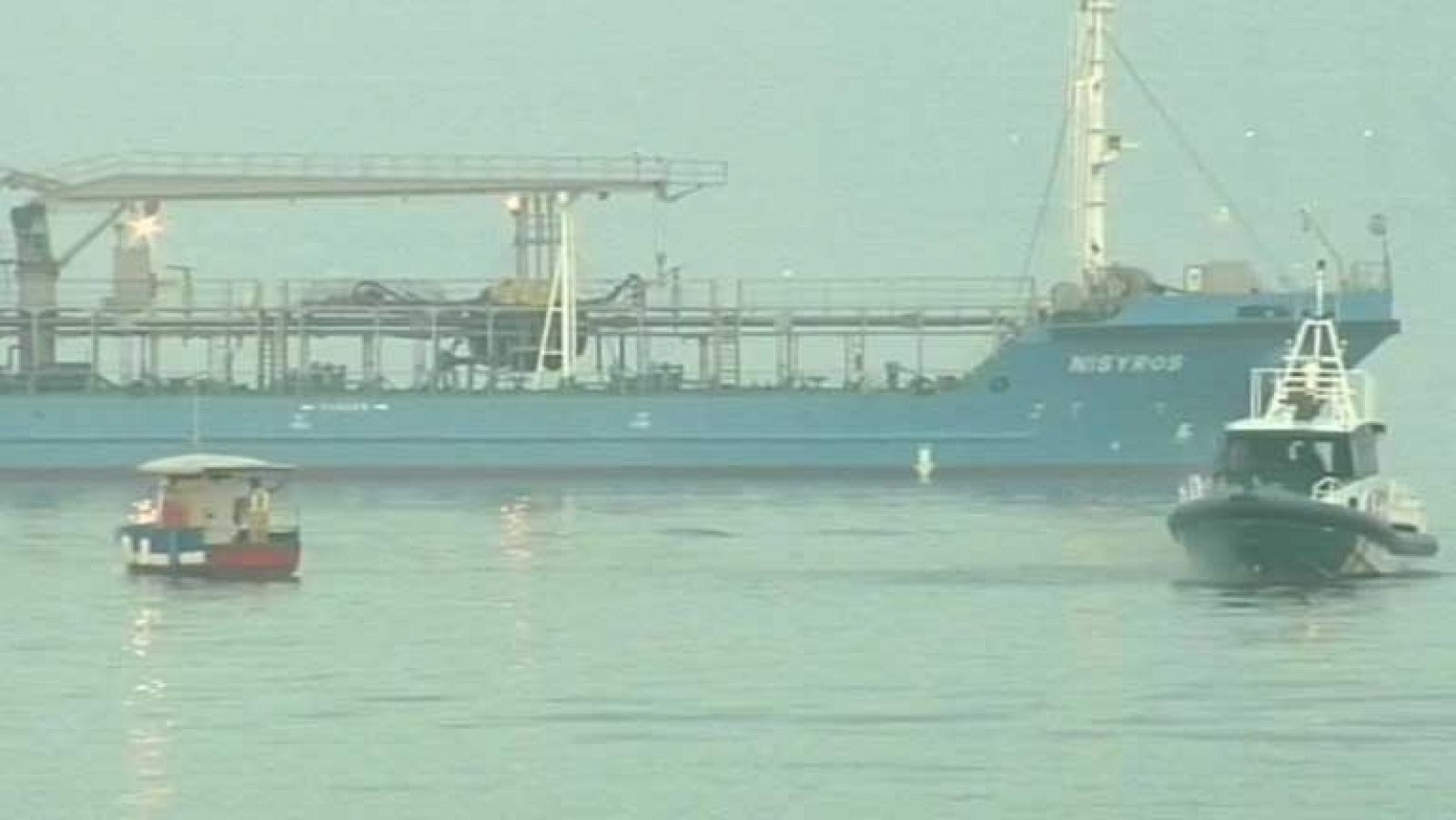 Gibraltar ha declarado hoy el peñón y las aguas que lo rodean "zona especial de conservación"