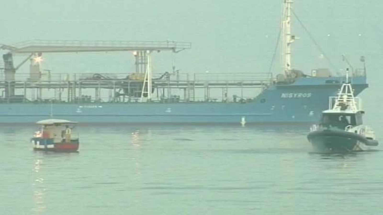 Gibraltar ha declarado hoy el peñón y las aguas que lo rodean "zona especial de conservación"