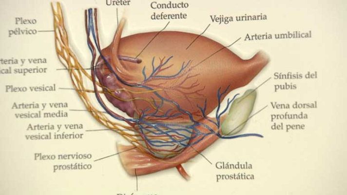Telediario 1 - 500.000 niños sufren de enuresis