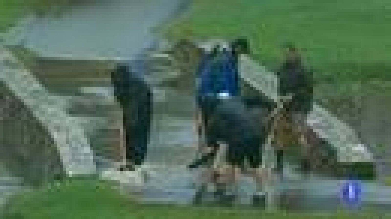 Si la lluvia lo permite, Sergio García, líder en Carolina del Norte, tiene a tiro la victoria en la jornada final.