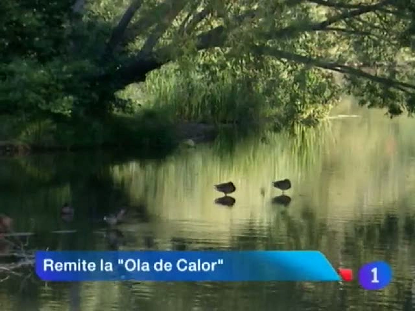 Telenavarra - 21/08/12 | Ver