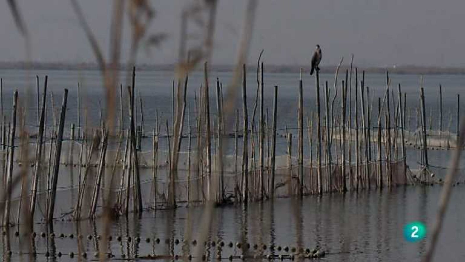 Biodiario - 21/08/12 - Ver ahora