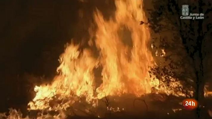 Informativo 24h - Se mantiene el nivel 2 en el incendio de Castrocontrigo (León) ya que la acción del viento ha activado algunos focos