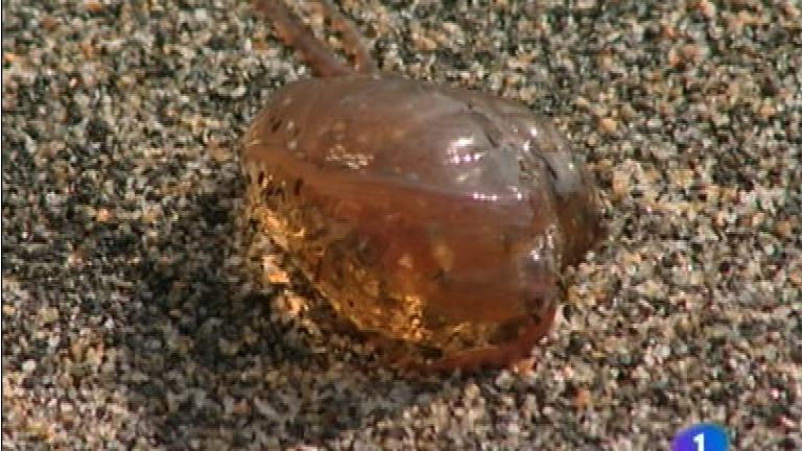 Panorama Regional - 22/08/12 | Ver