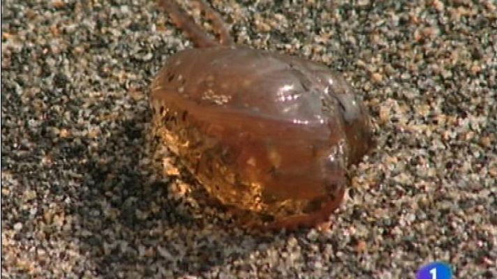 Panorama Regional - Panorama Regional - 22/08/12