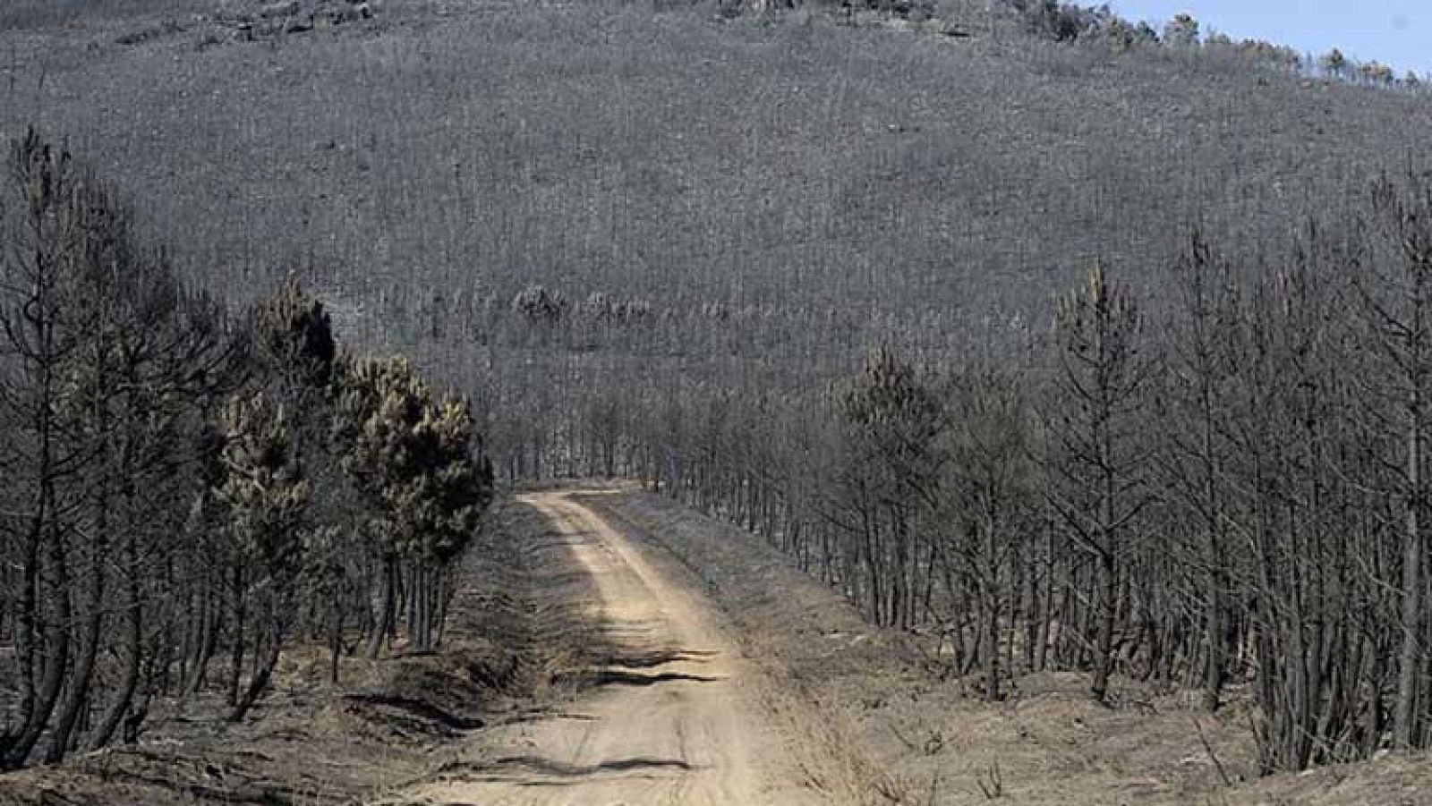 Telediario 1: Nivel uno en el incendio de León | RTVE Play