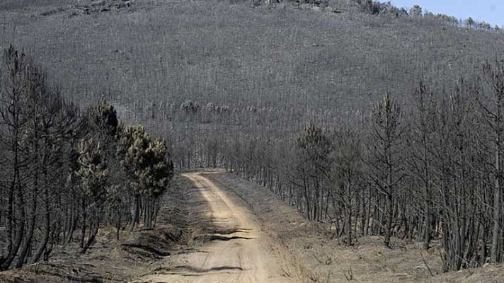 Nivel uno en el incendio de León