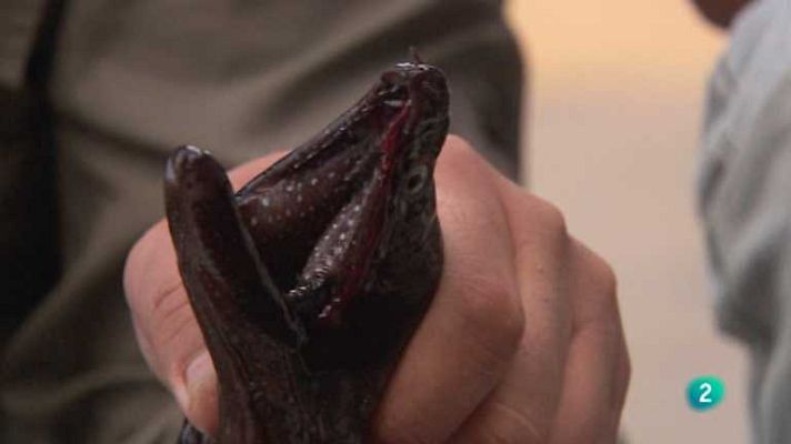 Biodiario - Biodiario - 23/08/12