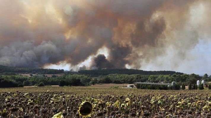 Telediario 1 - Telediario 1 en 4' - 25/08/12