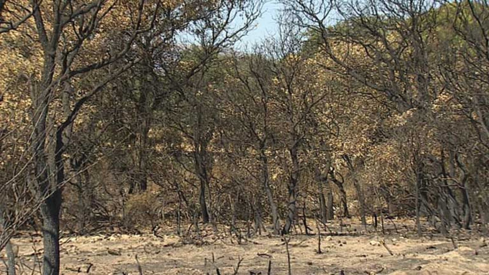 Estudiando los incendios