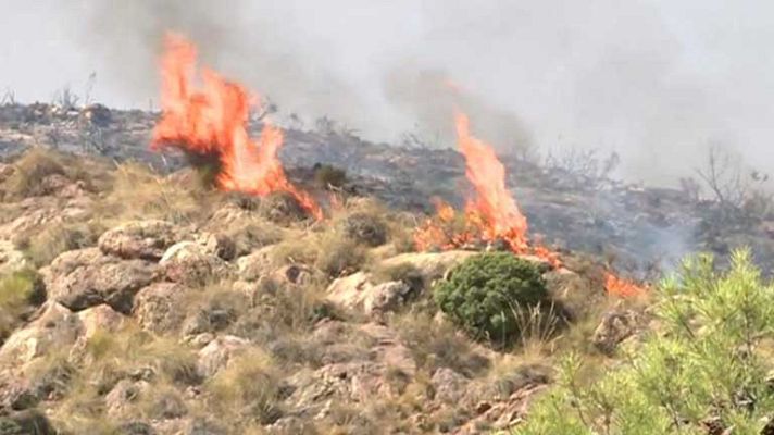 Telediario 1 - Incendio en Bedar, Almería