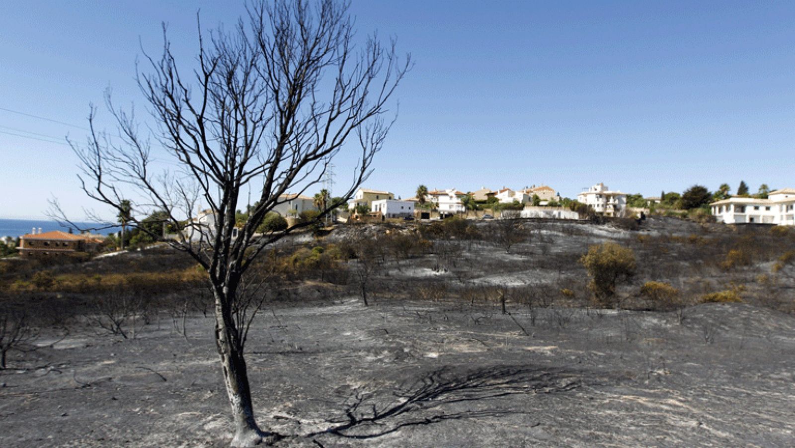 Controlado el incendio de Estepona