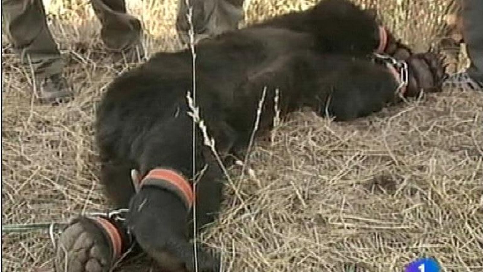 Panorama Regional - 27/08/12 | Ver