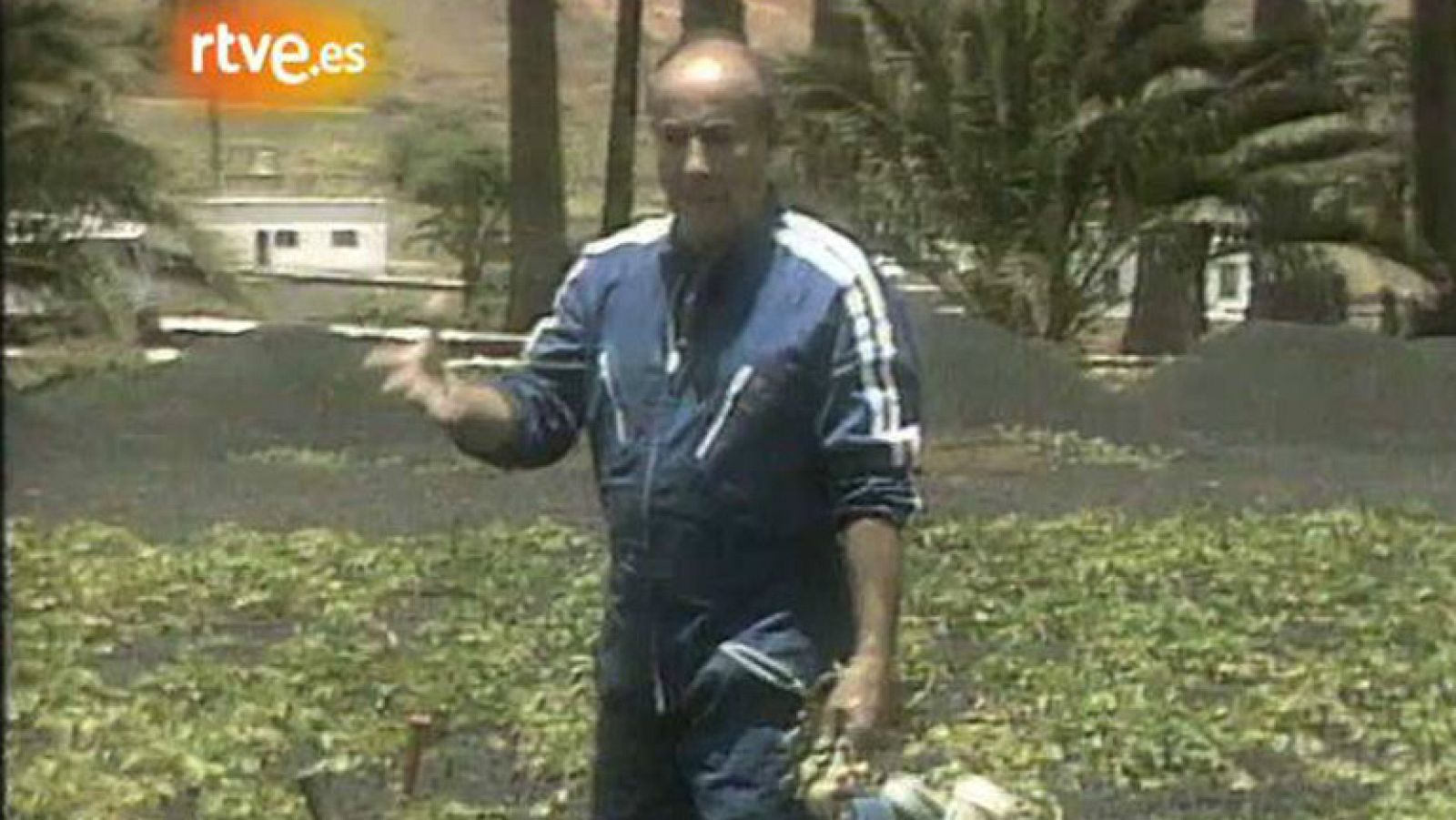 Adiós a César Manrique (1992)