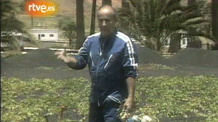 Programas y Concursos en el Archivo de RTVE - Adiós a César Manrique (1992)