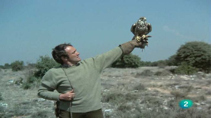 El hombre y la Tierra - Altaneria, 1