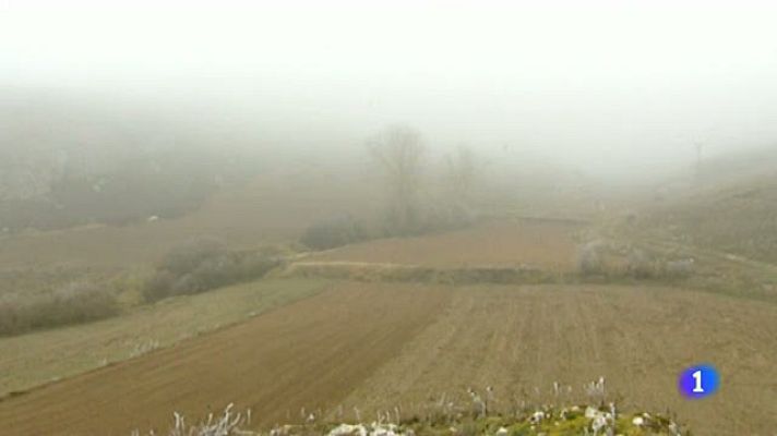 Telediario 1 - "Palabras que agonizan", recopilación de palabras utilizadas por Miguel Delibes en vías de extinción