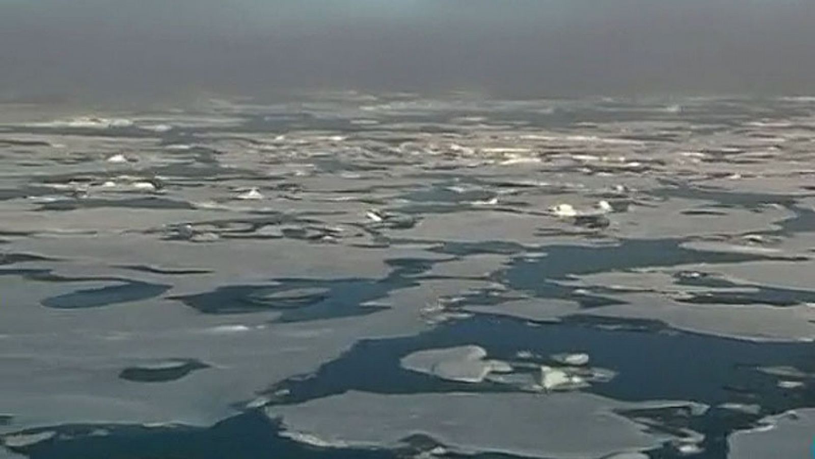 El Océano Ártico ha encogido más que nunca este verano
