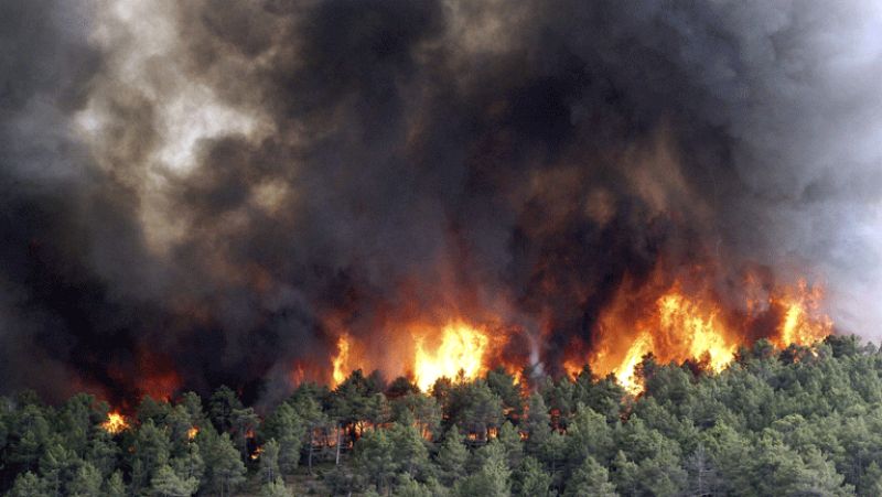 Incendio forestal en Madrid 
