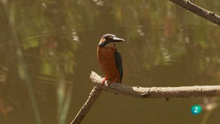 Biodiario - Biodiario - 29/08/12