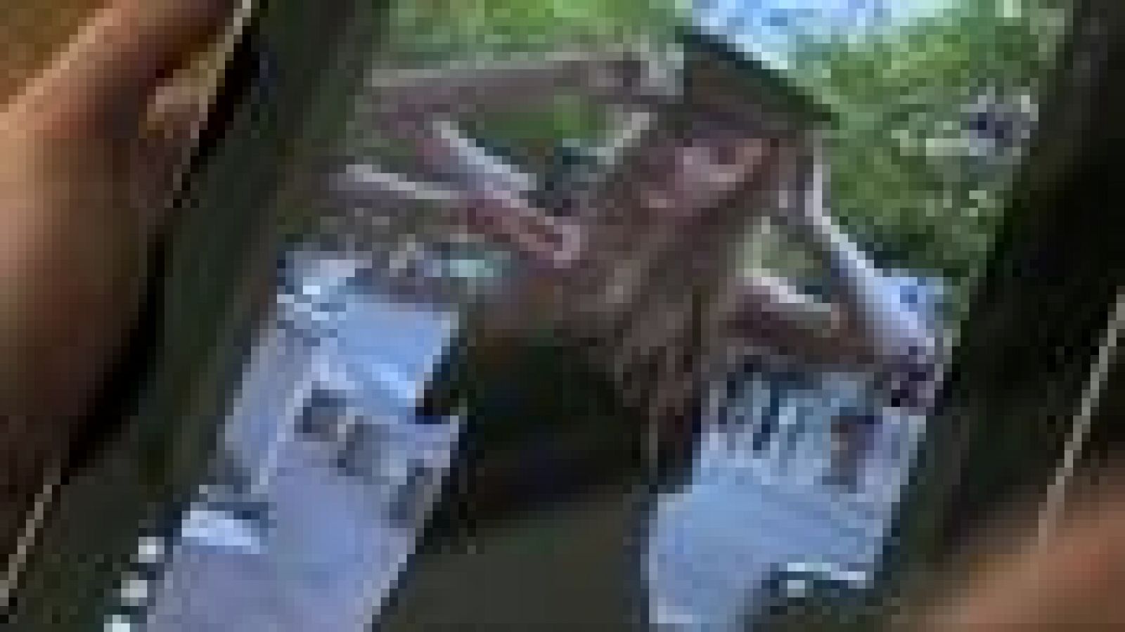 La revolución del StreetStyle | Ver