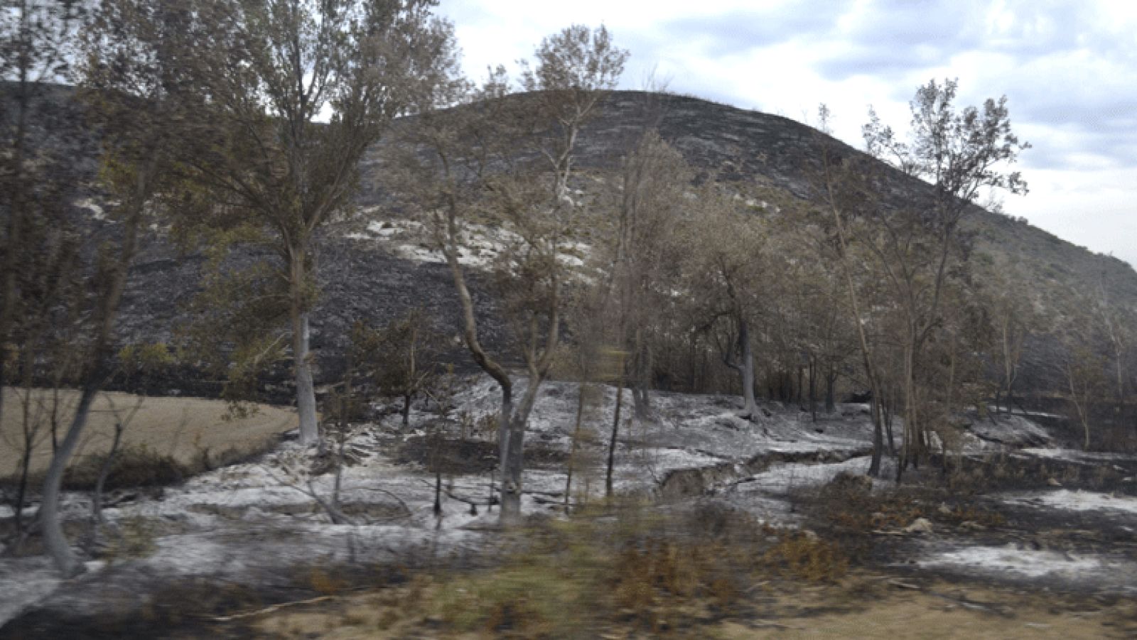 Incendio en la zona del Moncayo 