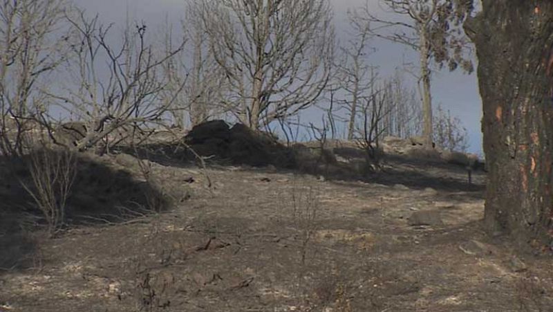 Se busca a los culpables del incendio que quemó más de mil hectáreas en la sierra de Madrid