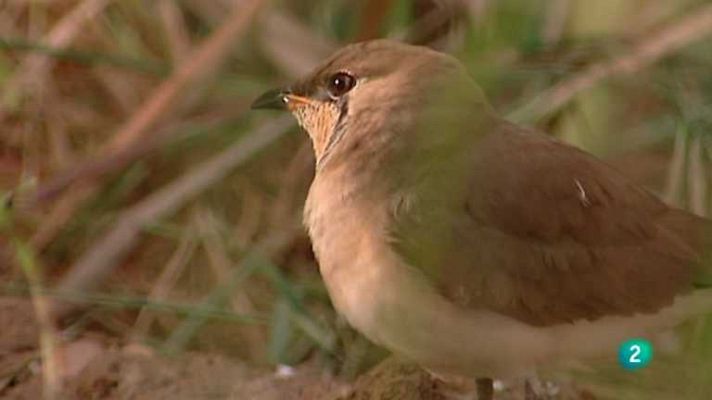 Biodiario - Biodiario - 30/08/12
