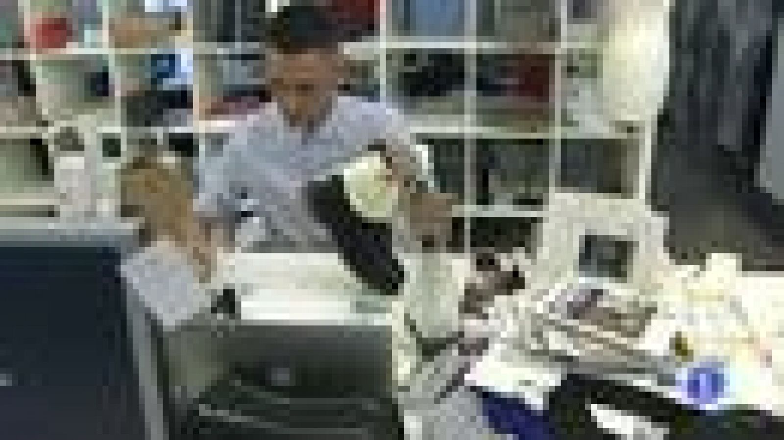 Nuevo día de desfiles en la pasarela Cibeles