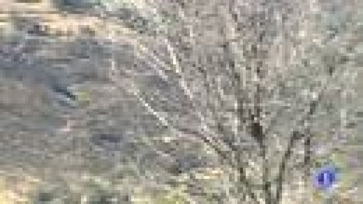 Telediario 1 - Incendio en Toledo