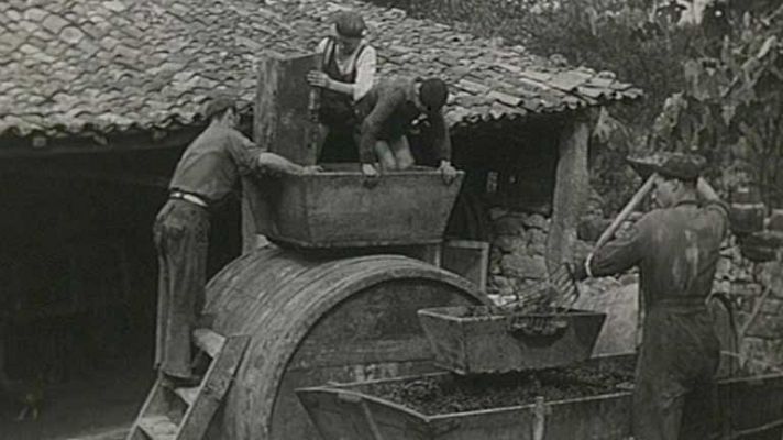 Alimentos garantizados