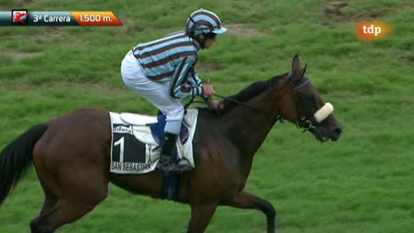 Turf - 03/09/12 - Ver ahora