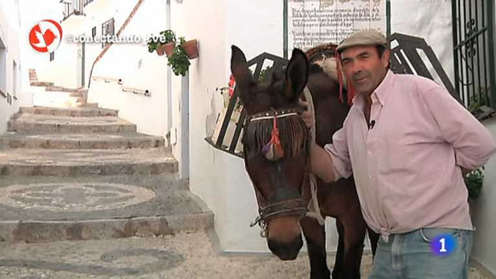 Conectando España - Frigiliana y Riglos - Ver ahora