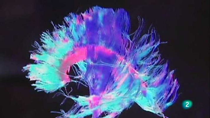 La 2 Noticias - La 2 Noticias - 05/09/12