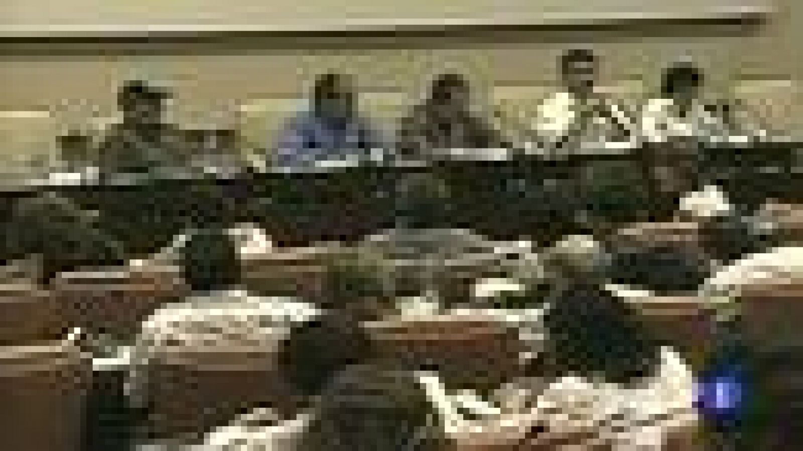 Las FARC ponen el alto el fuego como prioridad en el diálogo con Colombia | Ver