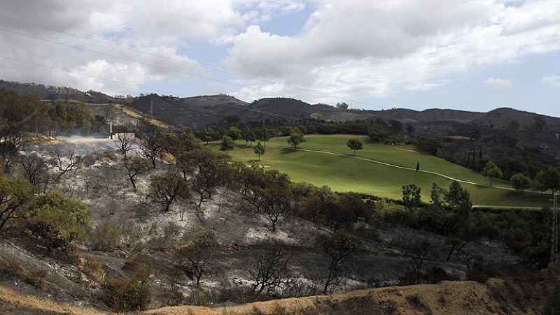 Los parados podrán ser requeridos para limpiar los montes tras los incendios