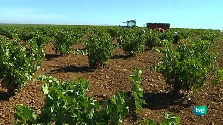 Agrosfera - Agrosfera - 08/09/12