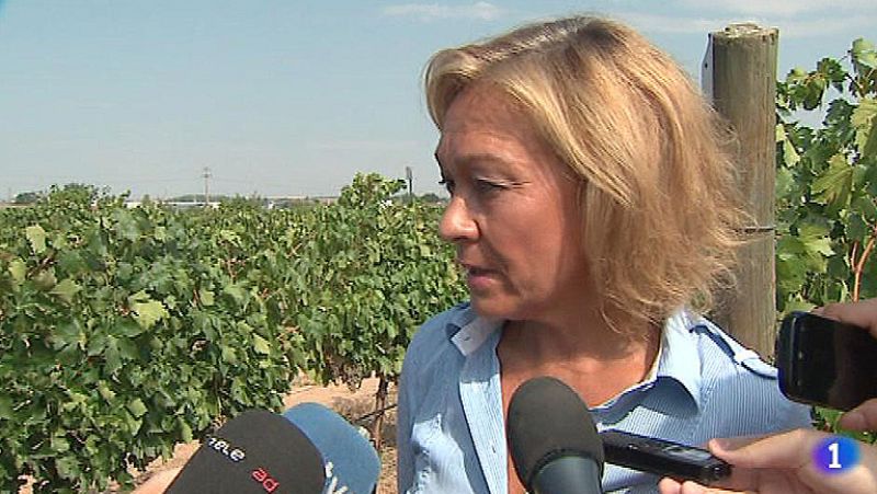 Eurovegas: un proyecto que no deja a nadie indiferente