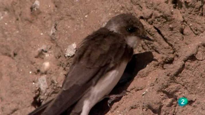 Biodiario - Biodiario - 09/09/12