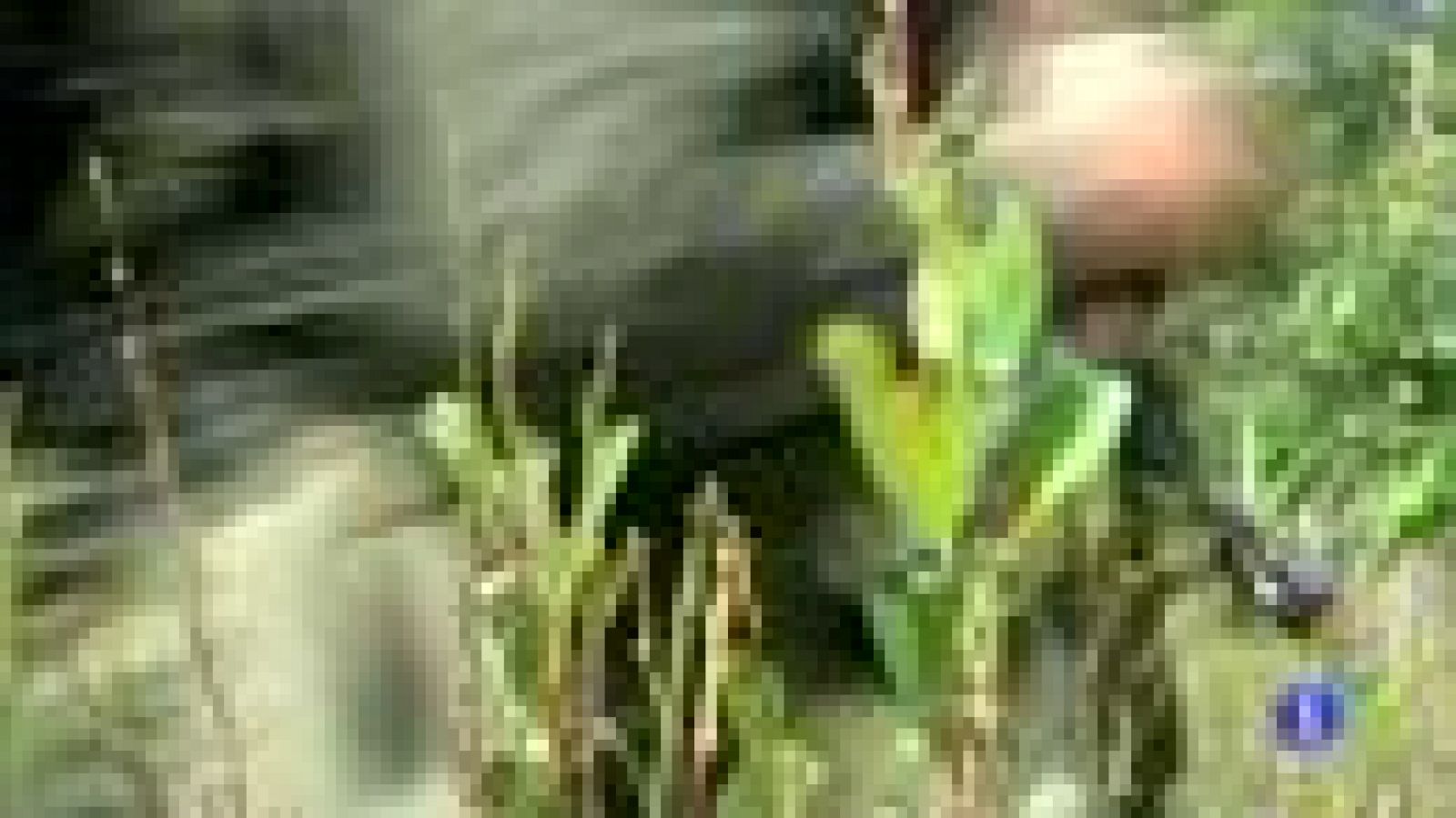 Preparativos para la negociación del proceso de paz de Colombia