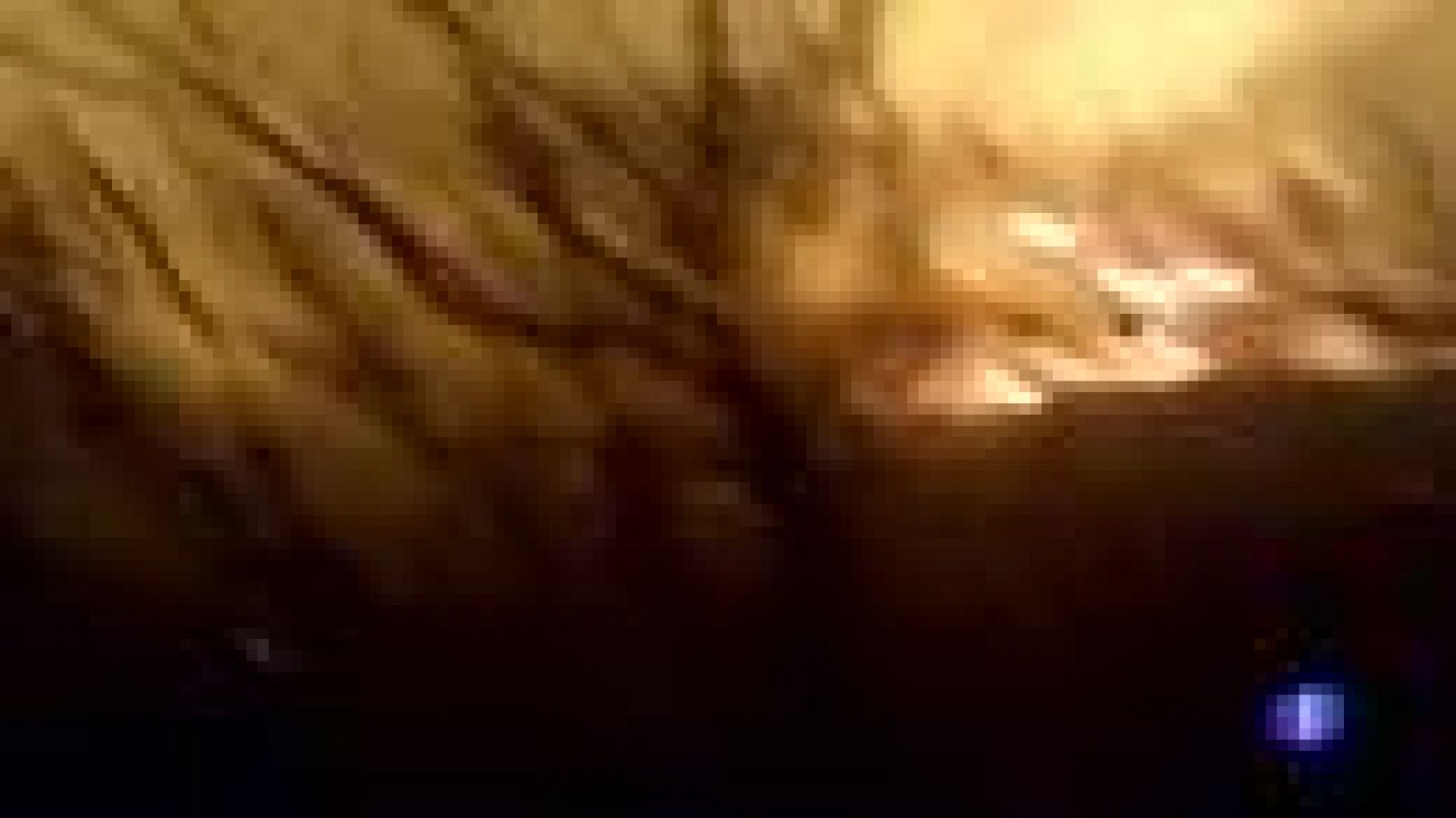 Verano muy duro en cuanto a incendios forestales