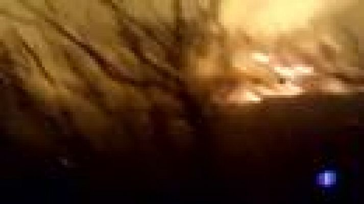 Telediario 1 - Incendios forestales