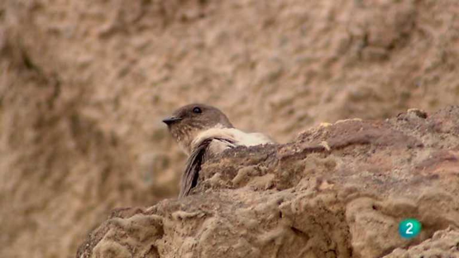 Biodiario - 10/09/12 - Ver ahora