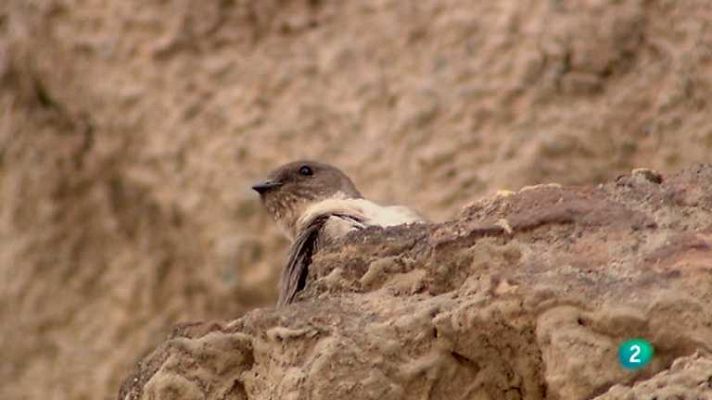 Biodiario - Biodiario - 10/09/12