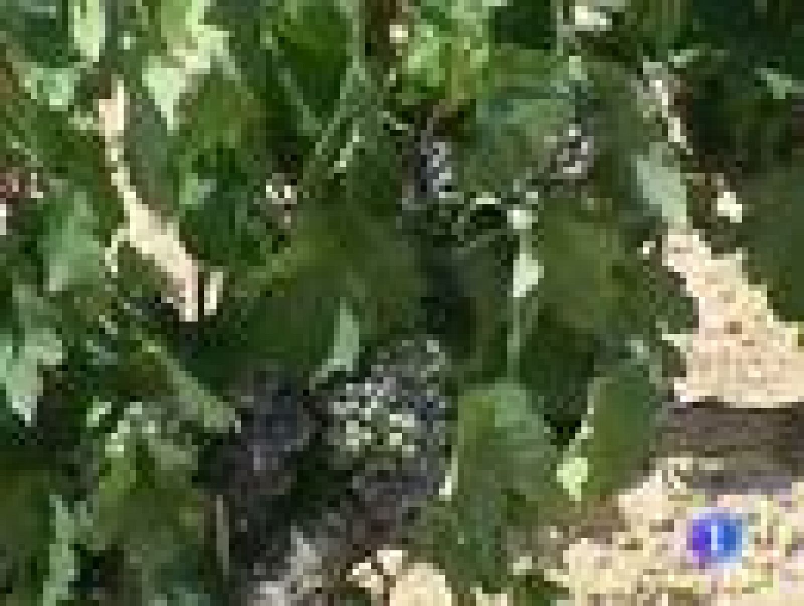 Telerioja en 2' - 11/09/12 | Ver