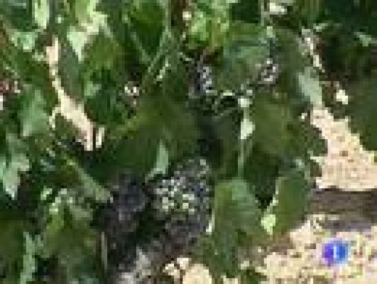 Informativo Telerioja - Telerioja en 2' - 11/09/12