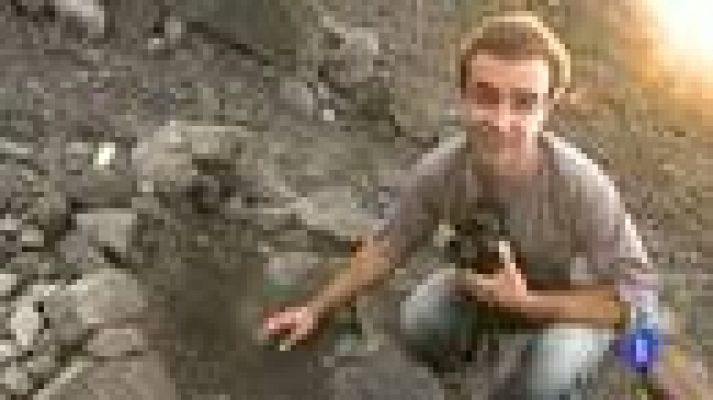 Españoles en el mundo - Java - Diego