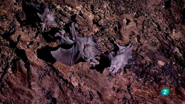 Biodiario - Biodiario - 12/09/12