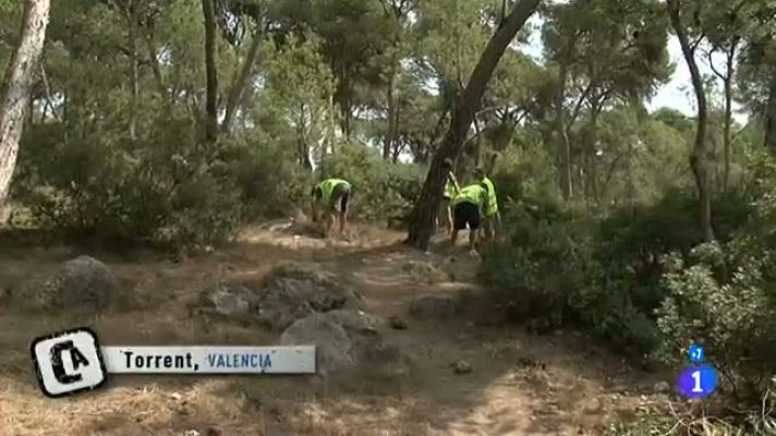 Comando Actualidad - Vidas paradas - Torrent