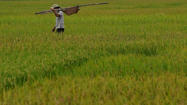 Telediario 1 - Mali al borde del abismo